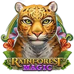 Rainforest Magic